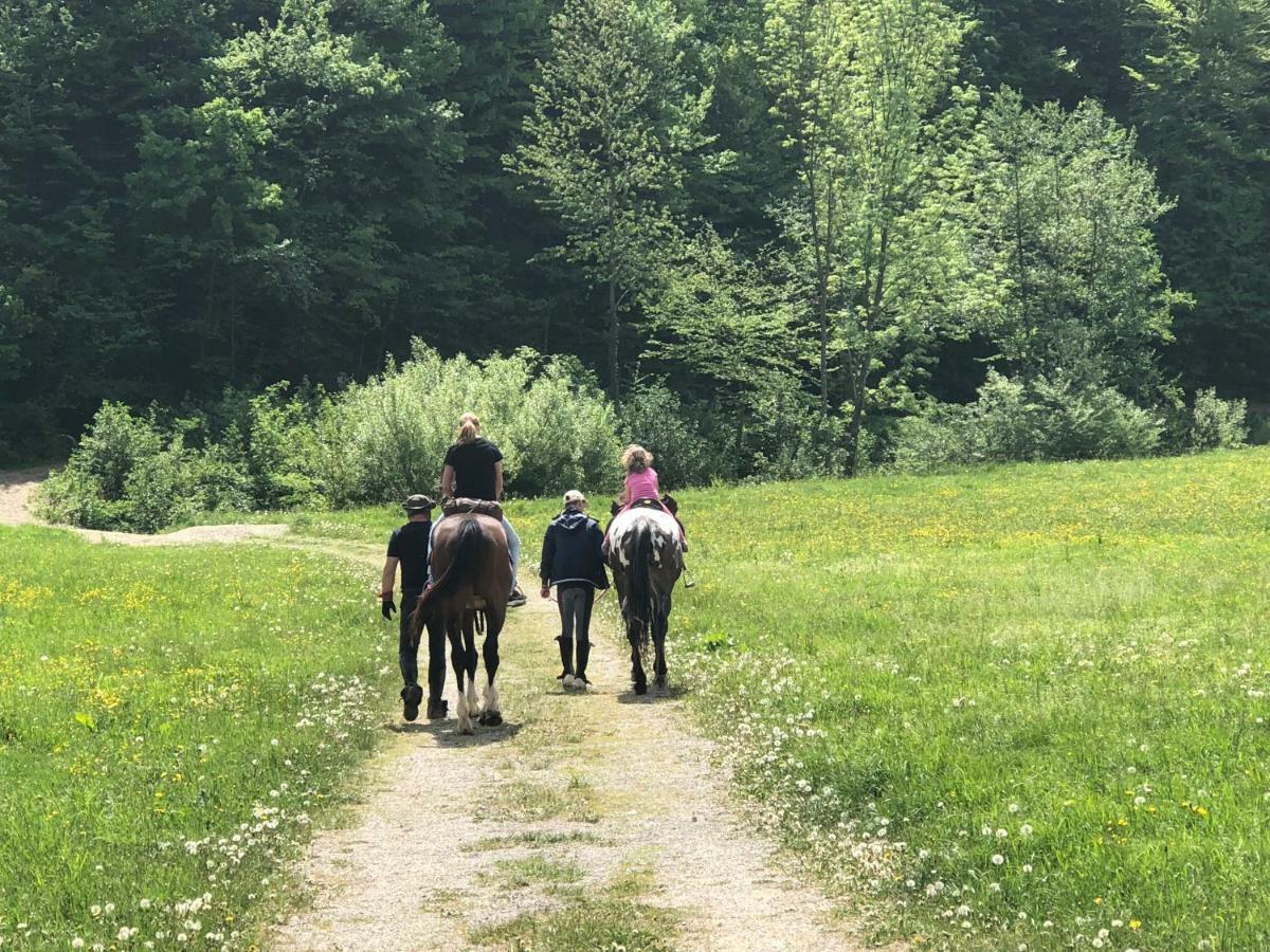 Farm Stay Zurej Šentjur Εξωτερικό φωτογραφία