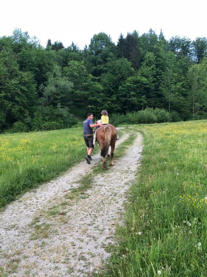 Farm Stay Zurej Šentjur Εξωτερικό φωτογραφία